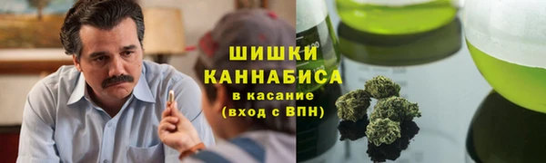 spice Белая Холуница
