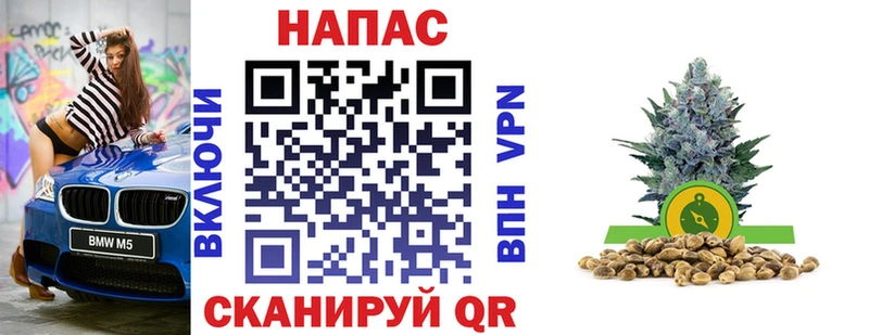 Шишки марихуана гибрид  omg зеркало  площадка формула  Каргат 